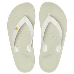 Chinelo Redley Solar Masculino Bege